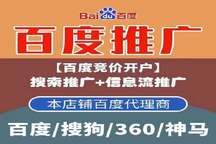 竞价广告与自然搜索的结合策略：XX网站的案例分析